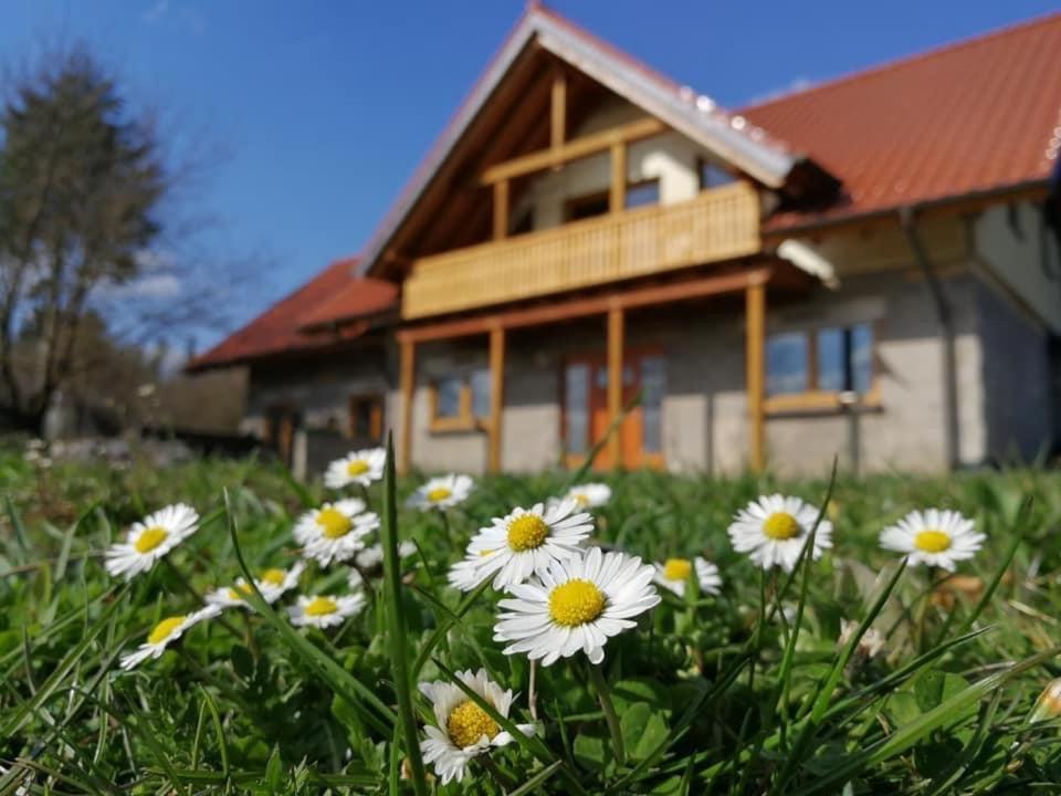 Wandertraum Johann - Fewo Eifel Kruft Екстер'єр фото